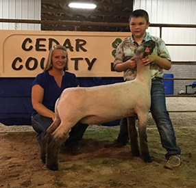 Greiner Winner