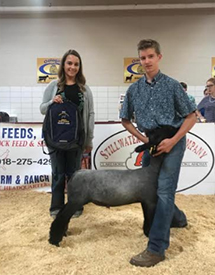 Greiner Winner